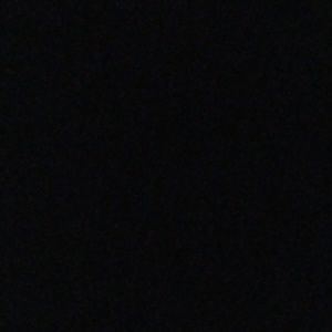 Meet your Posher, Lamar